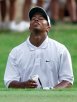 Tiger Woods