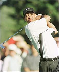 Read more about Tiger!